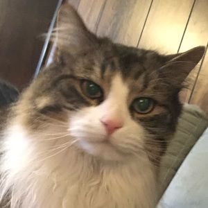 Meet your Posher, Carlie-anne